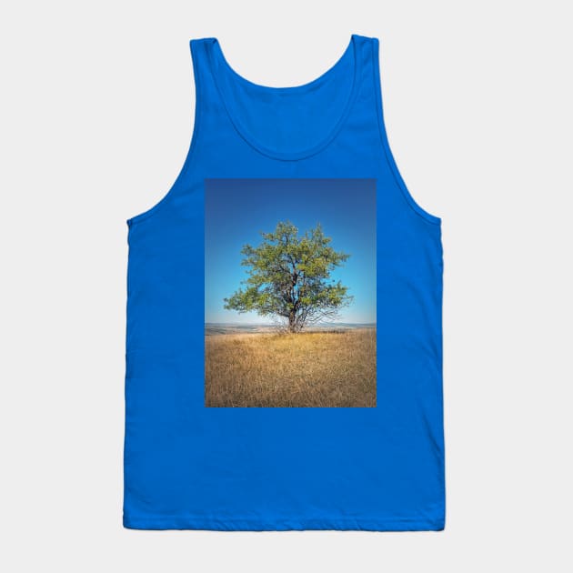 tree on the top of a hill Tank Top by psychoshadow